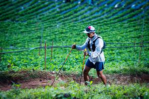 BIB: 
                            <button type="button" onclick="openModal(19159996)" class="btn btn-primary btn-sm float-right btn-popup" data-toggle="modal" data-target=".modal-high-quality">
                        <i class="fas fa-shopping-cart"></i> Add to Cart
                    </button>
                                            <button type="button" onclick="isThisMe(19159996, true)" class="btn btn-success btn-sm float-right btn-popup btn-isme hidden" data-toggle="tooltip" data-placement="bottom" title="นี่คือรูปของคุณใช่ไหม คลิกที่นี่เพื่อเอาเข้าอัลบั้ม">
                        <i class="fas fa-plus"></i> Add to album
                    </button>
                    <button type="button" onclick="isThisMe(19159996, false)" class="btn btn-warning btn-sm float-right btn-popup btn-isnotme hidden">
                        <i class="fas fa-ban"></i> Remove from album
                    </button>